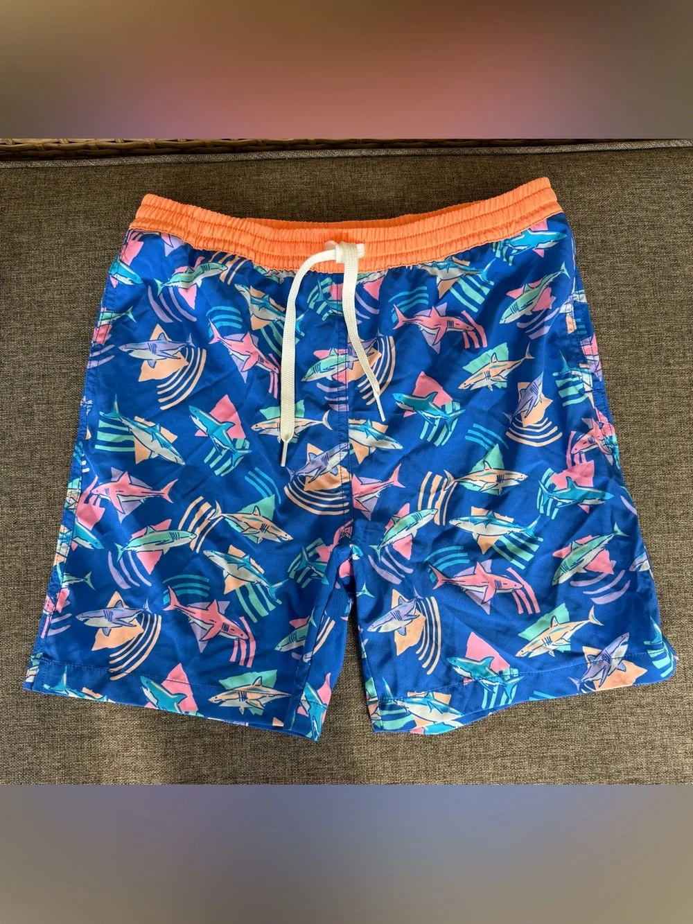 Boys Chubbies Swim Trunks Lined Set of 2 Size Large 14/16 Multicolor